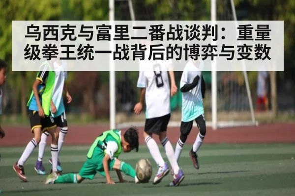 乌西克与富里二番战谈判:重量级拳王统一战背后的博弈与变数